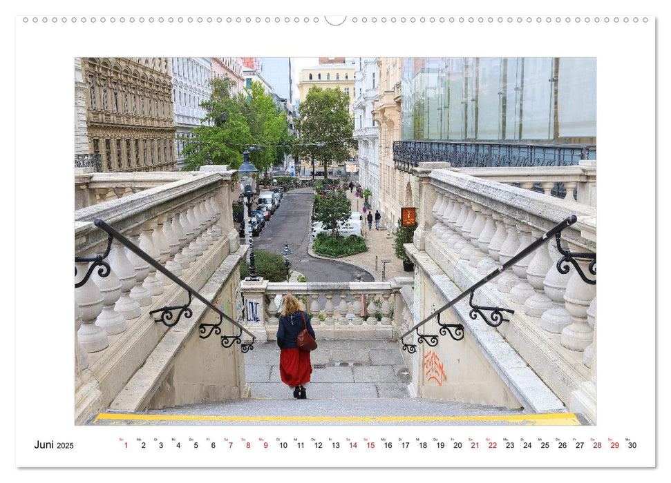 Bezauberndes Wien (CALVENDO Wandkalender 2025)