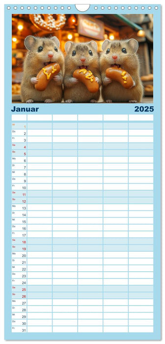 Hamster im Freizeitpark - Lustiger Kalender mit Jahrmarkt-Motiven (CALVENDO Familienplaner 2025)