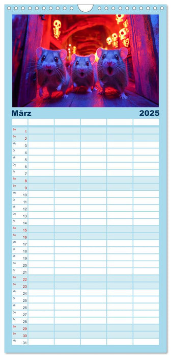 Hamster im Freizeitpark - Lustiger Kalender mit Jahrmarkt-Motiven (CALVENDO Familienplaner 2025)