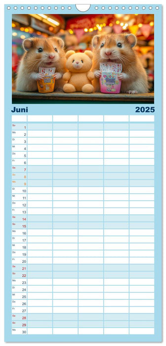 Hamster im Freizeitpark - Lustiger Kalender mit Jahrmarkt-Motiven (CALVENDO Familienplaner 2025)