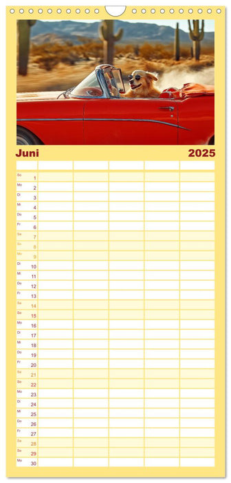 Süße Hunde cruisen - durch das Jahr mit dem Hundekalender (CALVENDO Familienplaner 2025)