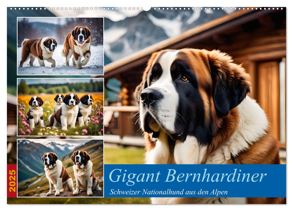 Gigant Bernhardiner (CALVENDO Wandkalender 2025)