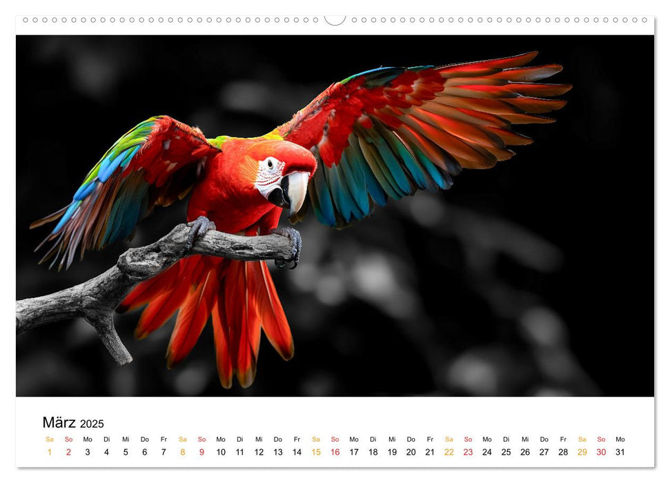 Magie der Tierwelt (CALVENDO Premium Wandkalender 2025)