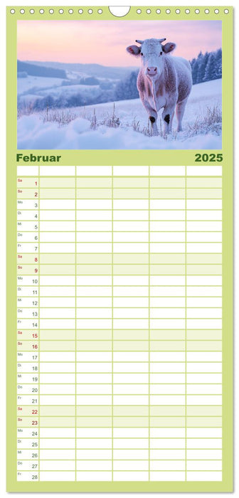 KÜHE AUF DER ALM – Der Kalender aus Bayern (CALVENDO Familienplaner 2025)