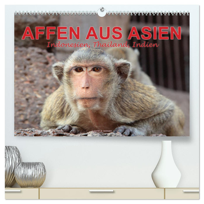 AFFEN AUS ASIEN Indonesien, Thailand, Indien (CALVENDO Premium Wandkalender 2025)