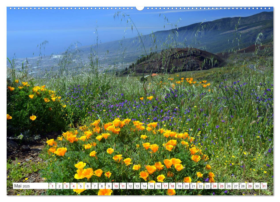 Teneriffa - Insel der Glückseligen (CALVENDO Wandkalender 2025)