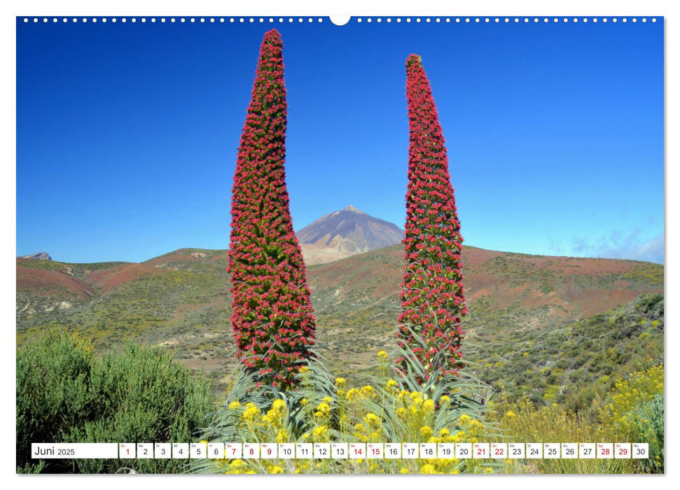 Teneriffa - Insel der Glückseligen (CALVENDO Premium Wandkalender 2025)