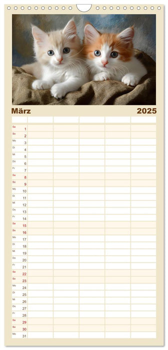 Zauberhafte Katzenbabys (CALVENDO Familienplaner 2025)