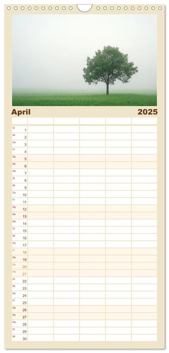 Minimalistische Naturmomente – Ruhe und Schönheit in der Natur (CALVENDO Familienplaner 2025)