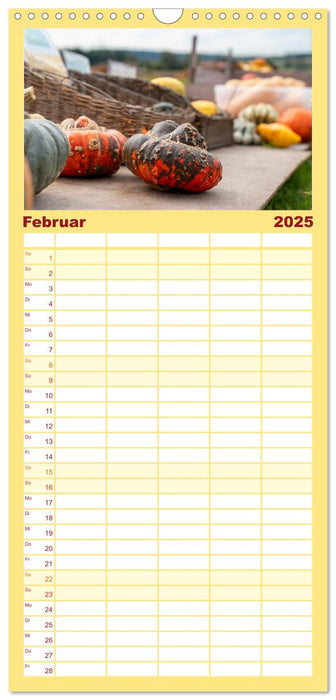 KÜRBIS KALENDER - Die schönsten Kürbisse des Jahres (CALVENDO Familienplaner 2025)