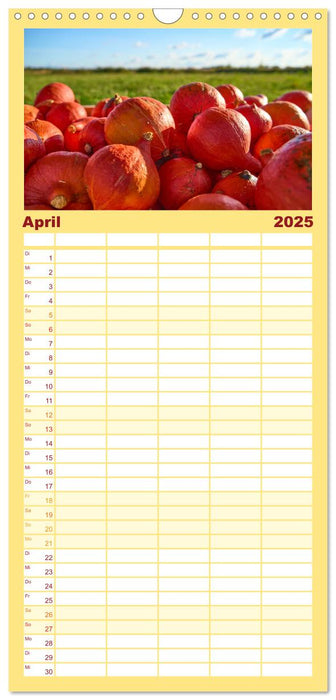 KÜRBIS KALENDER - Die schönsten Kürbisse des Jahres (CALVENDO Familienplaner 2025)