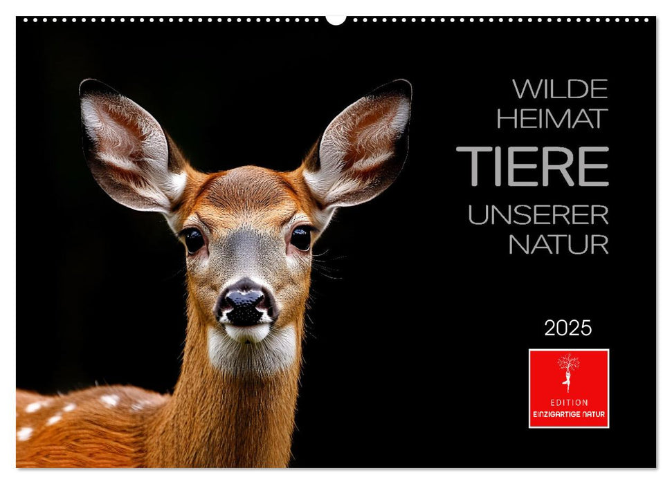 Wilde Heimat - Tiere unserer Natur (CALVENDO Wandkalender 2025)