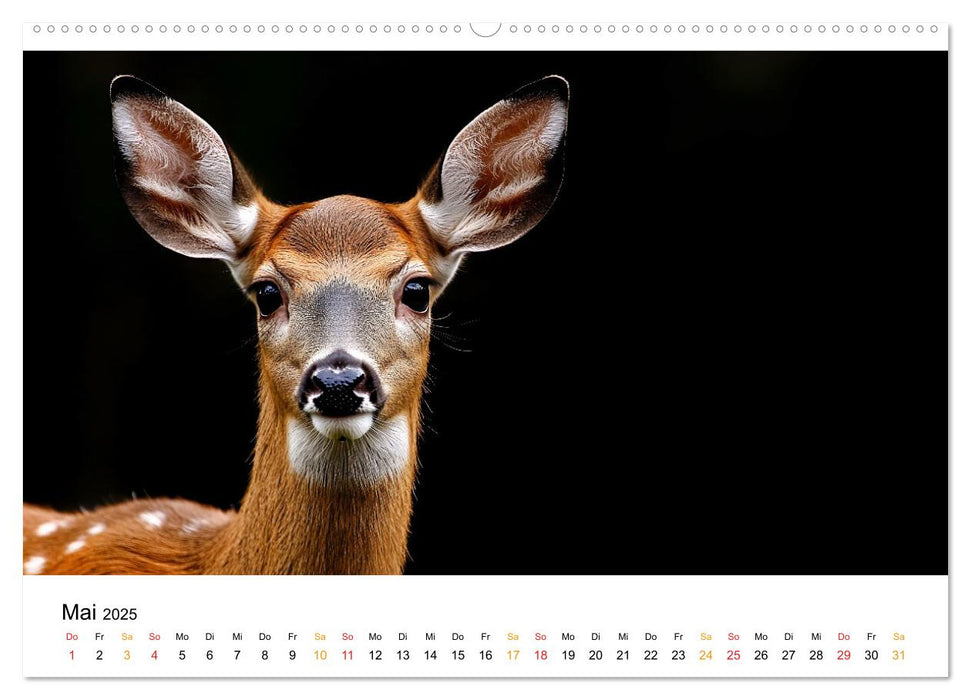 Wilde Heimat - Tiere unserer Natur (CALVENDO Wandkalender 2025)