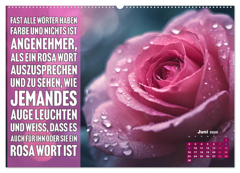 Lieblingsfarbe Rosa - mit coolen Sprüchen (CALVENDO Premium Wandkalender 2025)