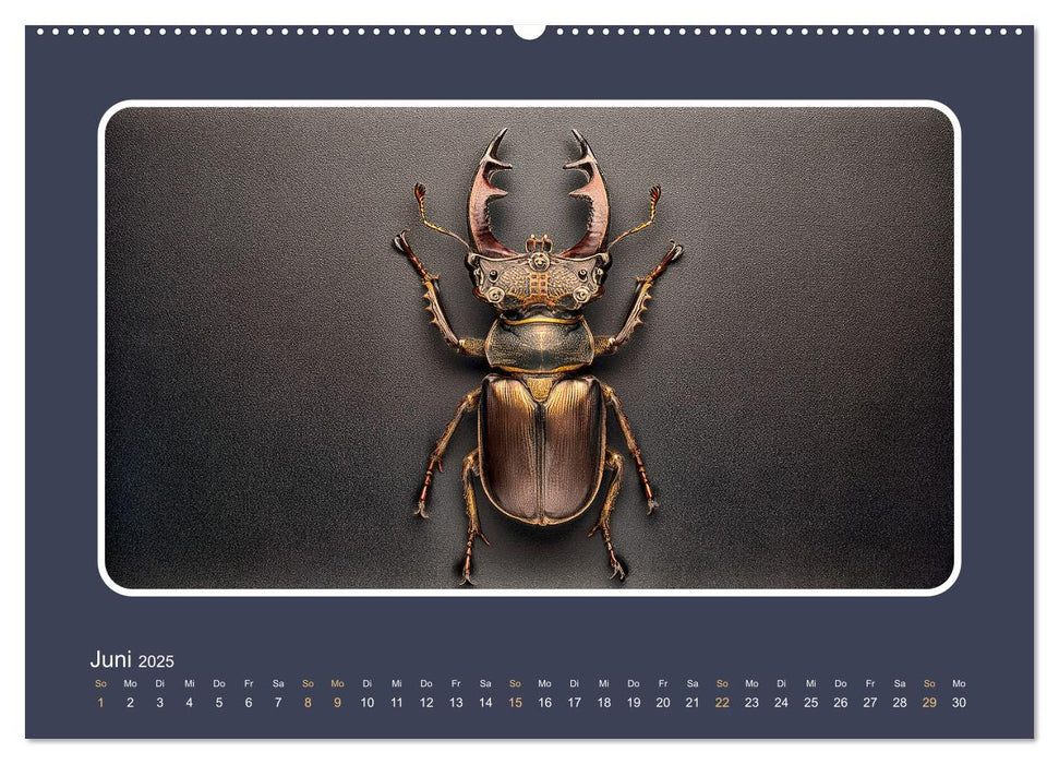 Roboterinsekten (CALVENDO Premium Wandkalender 2025)