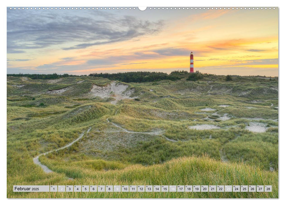 Wunderschönes Amrum (CALVENDO Wandkalender 2025)