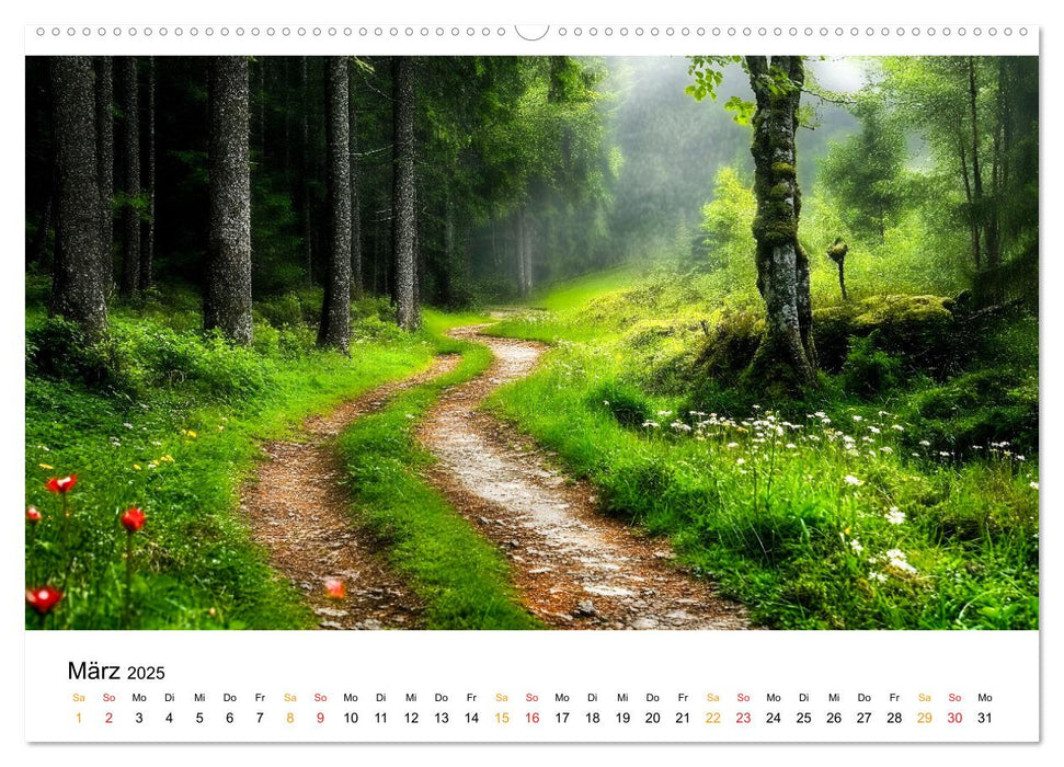 Mystik der Wälder (CALVENDO Wandkalender 2025)