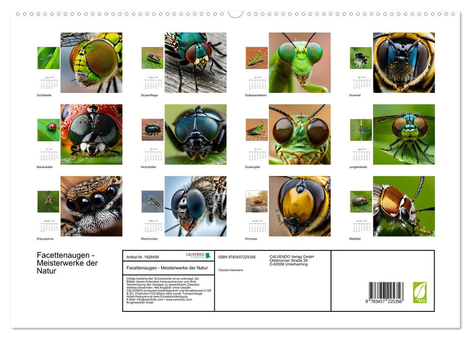 Facettenaugen - Meisterwerke der Natur (CALVENDO Premium Wandkalender 2025)