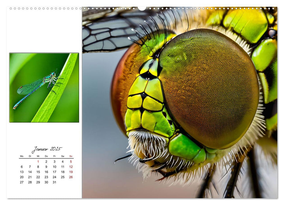 Facettenaugen - Meisterwerke der Natur (CALVENDO Premium Wandkalender 2025)