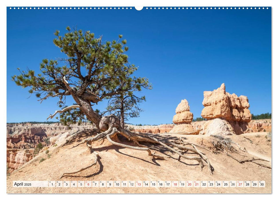 ARIZONA UND UTAH Ein einzigartiges Erlebnis (CALVENDO Premium Wandkalender 2025)