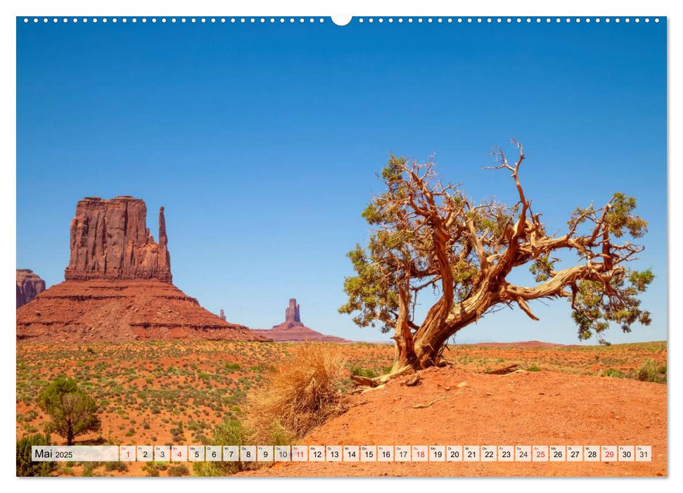 ARIZONA UND UTAH Ein einzigartiges Erlebnis (CALVENDO Premium Wandkalender 2025)