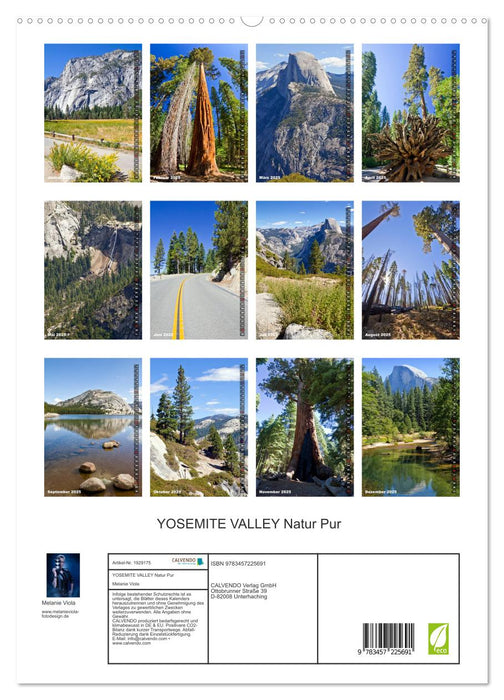 YOSEMITE VALLEY Natur Pur (CALVENDO Premium Wandkalender 2025)