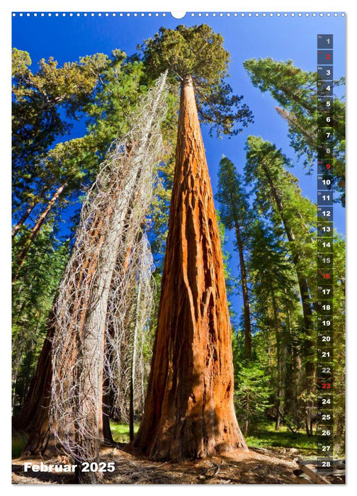 YOSEMITE VALLEY Natur Pur (CALVENDO Wandkalender 2025)