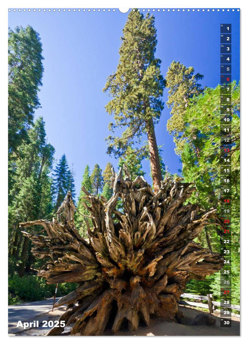 YOSEMITE VALLEY Natur Pur (CALVENDO Wandkalender 2025)