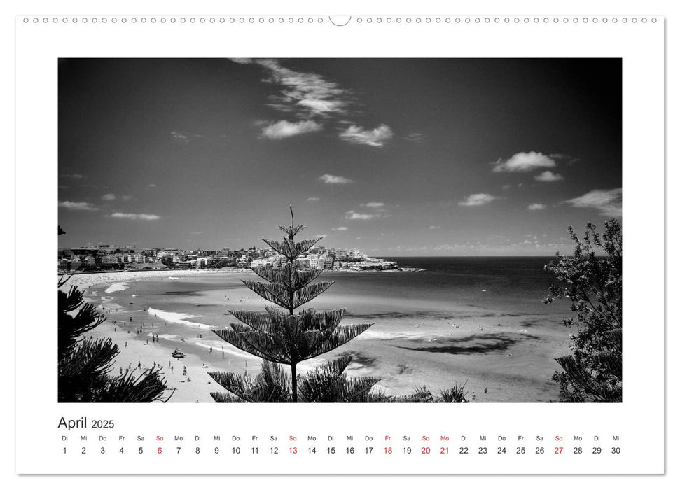 SYDNEY Monochrom (CALVENDO Premium Wandkalender 2025)