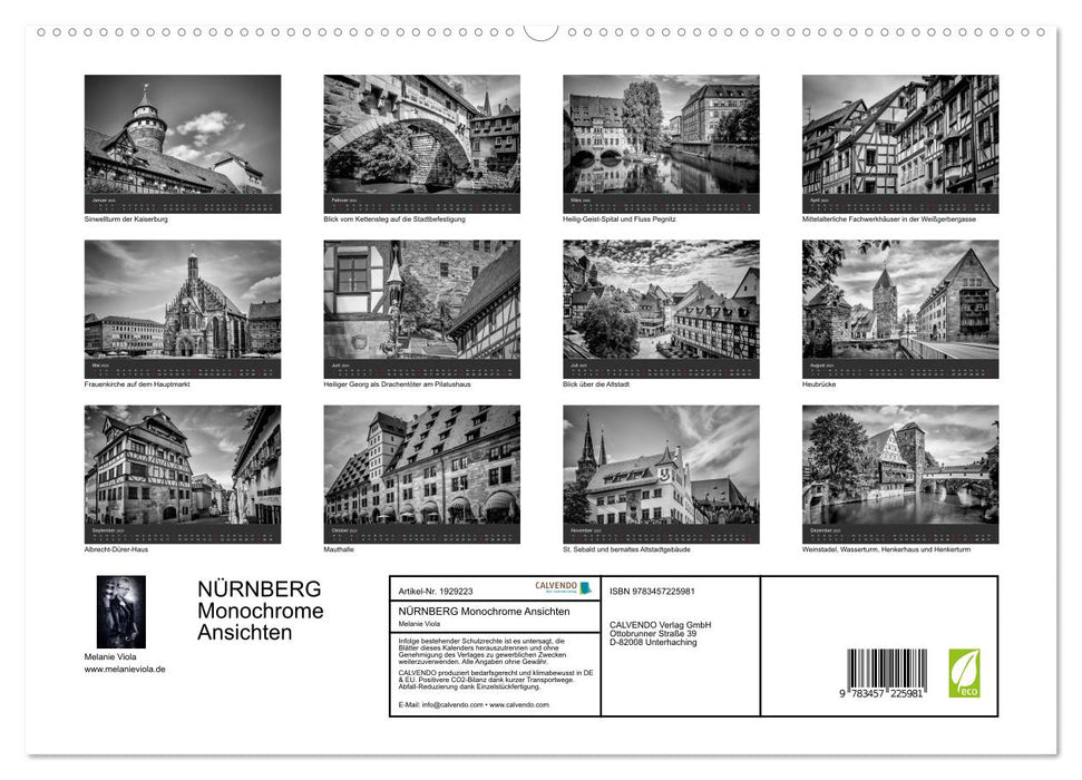 NÜRNBERG Monochrome Ansichten (CALVENDO Premium Wandkalender 2025)