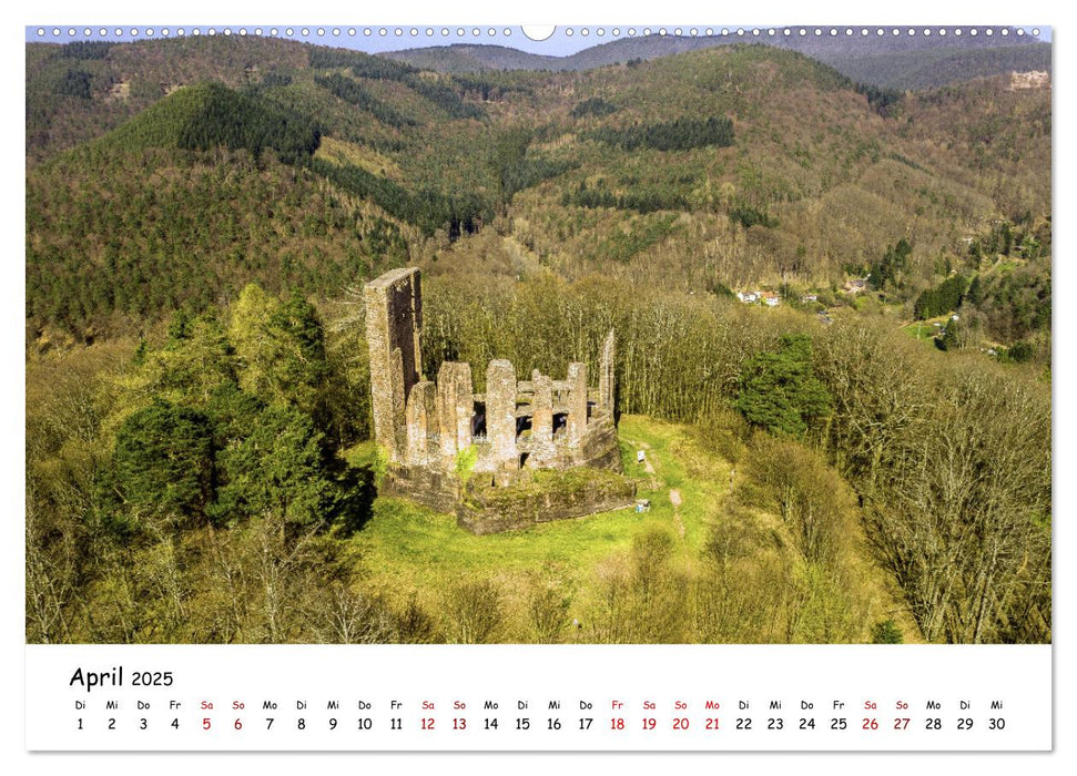 Luftaufnahmen Pfälzer Burgen (CALVENDO Wandkalender 2025)