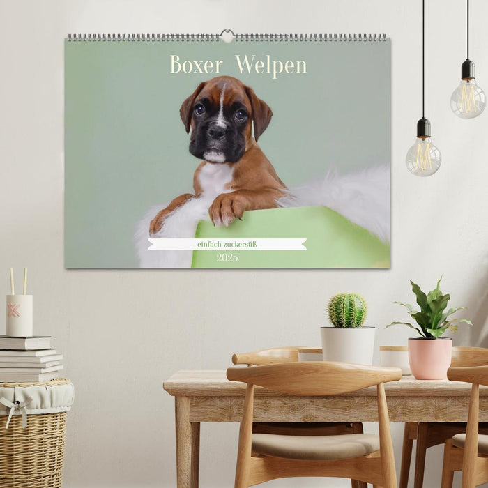 Boxer Welpen einfach zuckersüß (CALVENDO Wandkalender 2025)