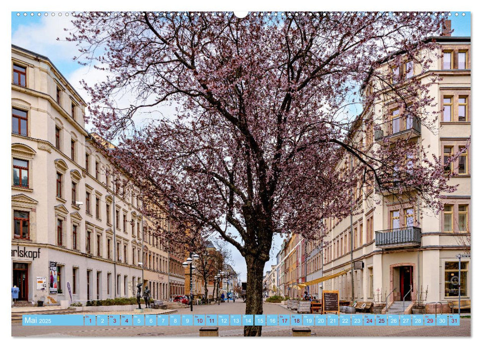 Chemnitz Stadtansichten (CALVENDO Wandkalender 2025)