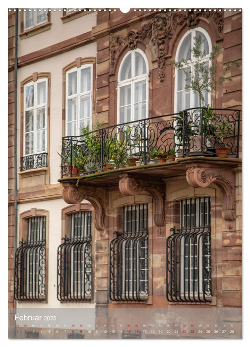 Straßburg - Grande Ile und Neustadt (CALVENDO Premium Wandkalender 2025)