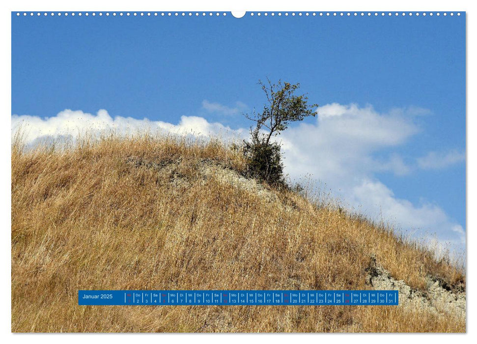 Crete Senesi - Highlights einer einzigartigen Region (CALVENDO Premium Wandkalender 2025)