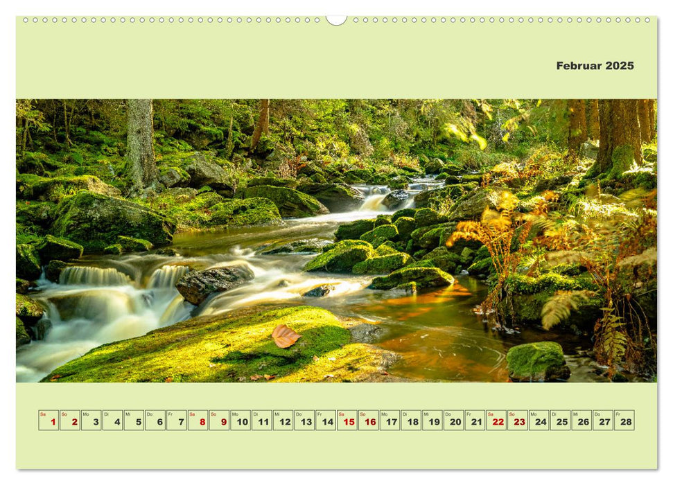 Die schwarze Pockau im Herbstgewand (CALVENDO Wandkalender 2025)