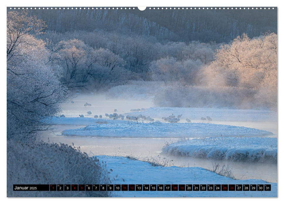 Kaleidoskop Japan (CALVENDO Wandkalender 2025)