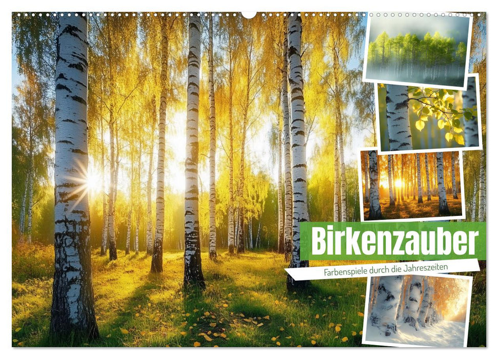 Birkenzauber (CALVENDO Wandkalender 2025)