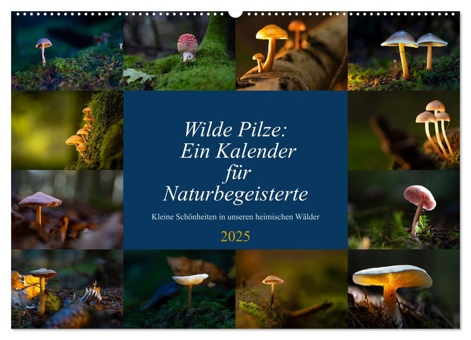 Wilde Pilze: Ein Kalender für Naturbegeisterte (CALVENDO Wandkalender 2025)