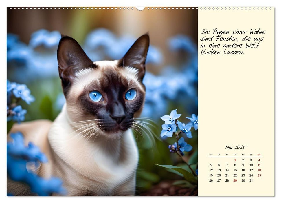 Katzen - Charakter und Schönheit (CALVENDO Premium Wandkalender 2025)