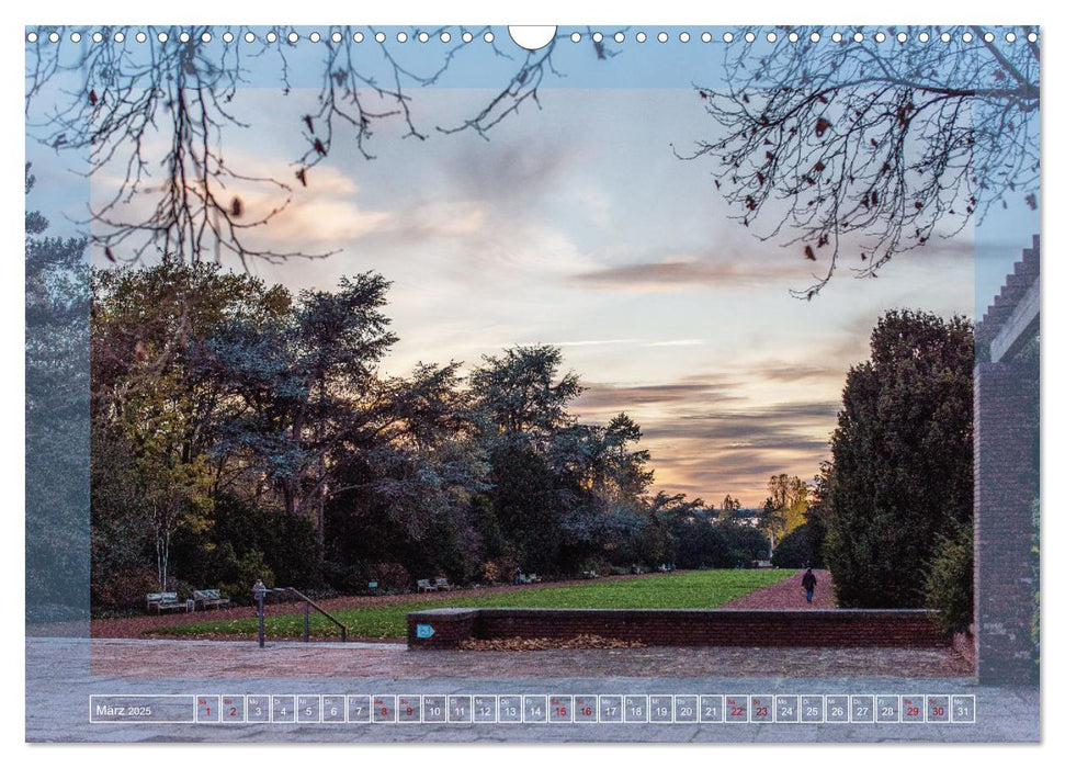 Der Düsseldorfer Nordpark (CALVENDO Wandkalender 2025)