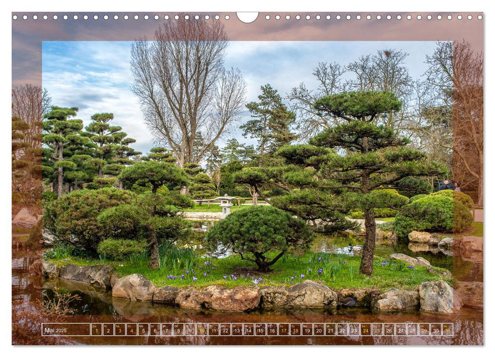 Der Düsseldorfer Nordpark (CALVENDO Wandkalender 2025)