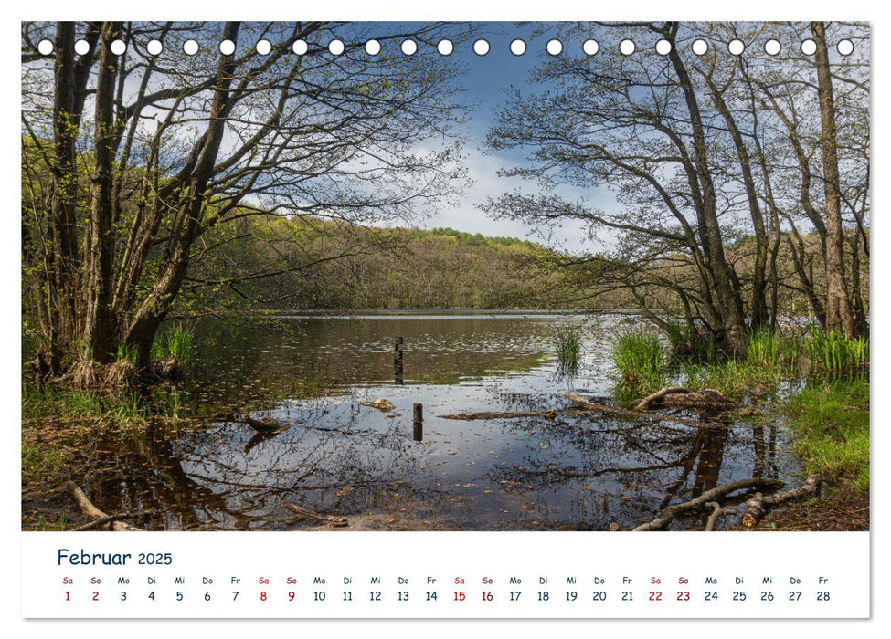 Verliebt in Rügen (CALVENDO Wandkalender 2025)