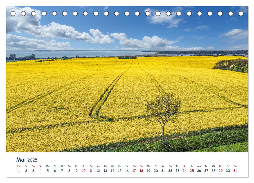 Verliebt in Rügen (CALVENDO Wandkalender 2025)