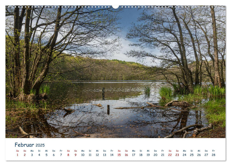 Verliebt in Rügen (CALVENDO Premium Wandkalender 2025)