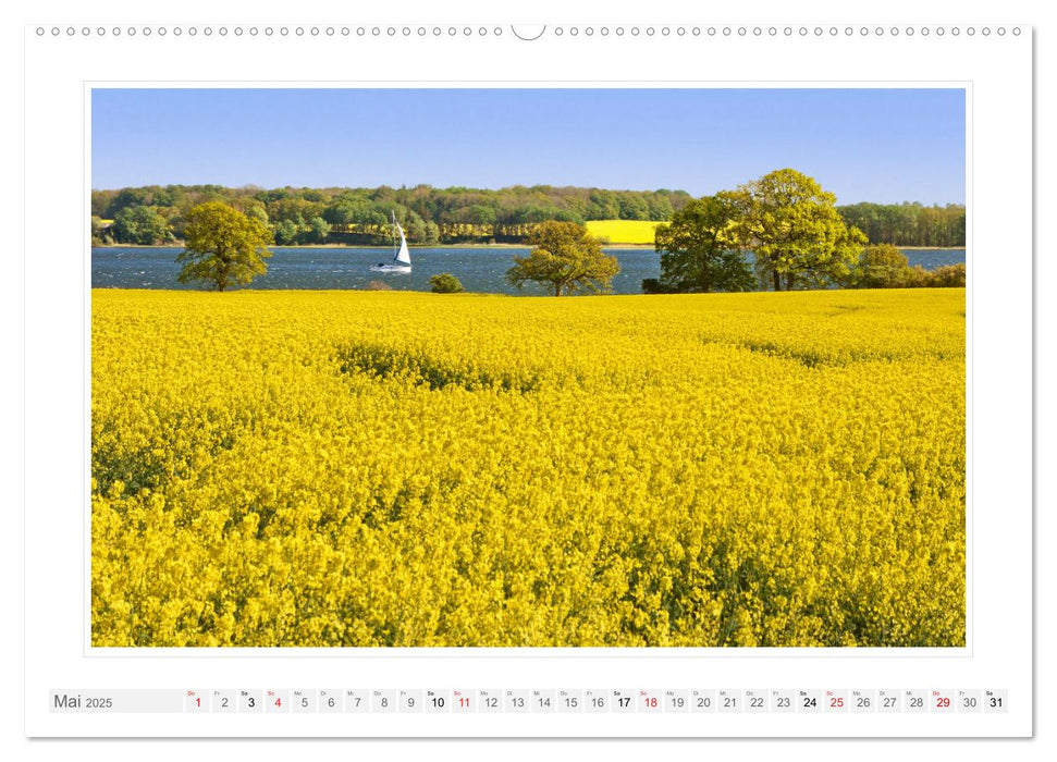 Rund um die Schlei (CALVENDO Premium Wandkalender 2025)