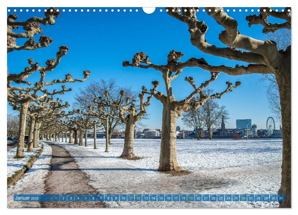 Düsseldorf - Ansichten einer faszinierenden Stadt (CALVENDO Wandkalender 2025)