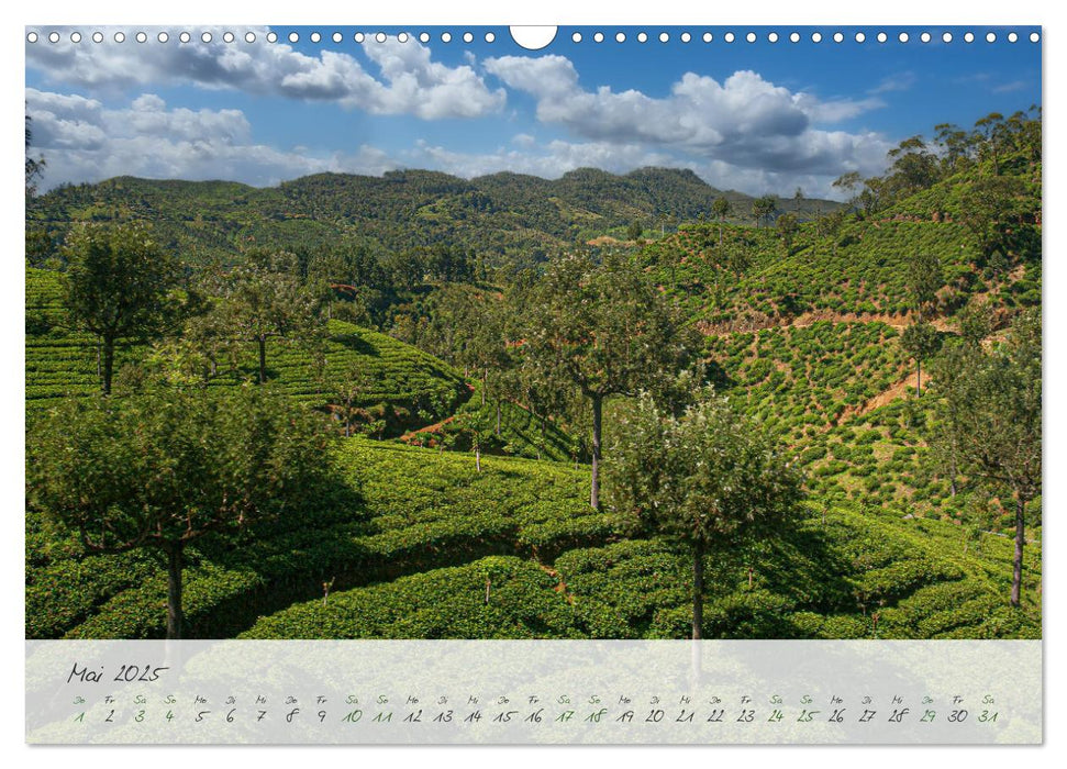 Verliebt in Sri Lanka (CALVENDO Wandkalender 2025)