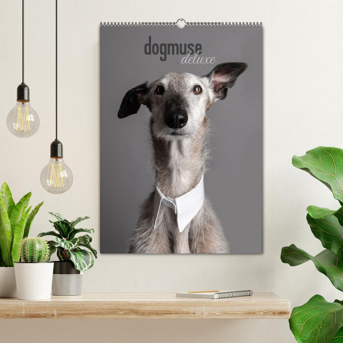 dogmuse deluxe (CALVENDO Wandkalender 2025)