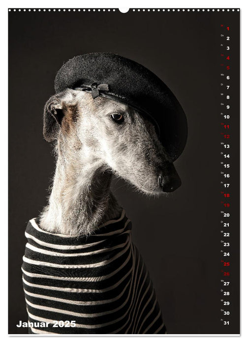 dogmuse deluxe (CALVENDO Wandkalender 2025)